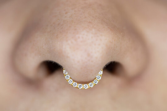 Septum Piercing Images Browse 6 858 Stock Photos Vectors and