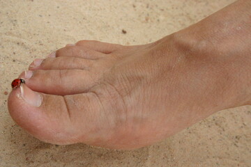 lady bug climbing onn bare foot