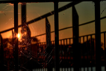 A spider web spun between the struts of a railing and made to glitter by the light of the setting...