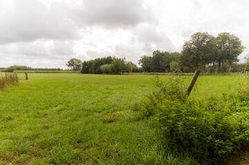 Fototapeta na wymiar An agricultural field near Linden, The Netherlands