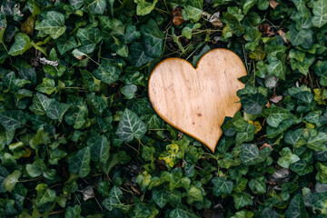 Heart made of wood lying on ground between leaves.