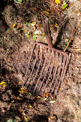 old rusty rake