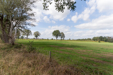 Fototapeta na wymiar An agricultural field near Zelhem, The Netherlands.