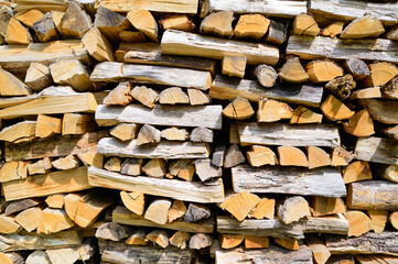 pine wood cut and stacked