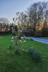 Obraz premium Sunset at Beautiful Irish Garden