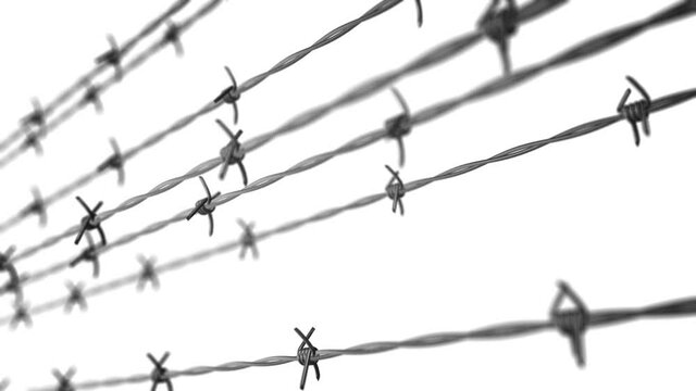 Animation of moving steel metallic barbed wire on white background. Seamless loopable animation.