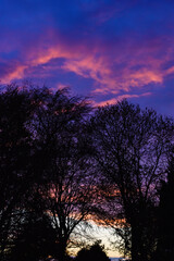 Vibrant Violet Sunset