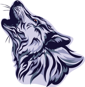 Wolf, portrait, white, black, color, vector, graphics, drawing, picture, stylization, image, isolated, illustration 
