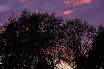 Vibrant Violet Sunset
