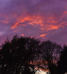 Fototapeta na wymiar Vibrant Violet Sunset