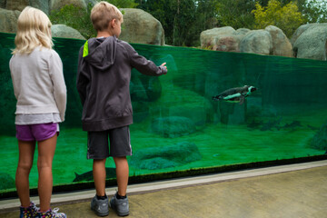 Boy and girl standing in front of penguin tank