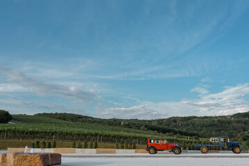 Vintage retro car near a vine plantation.