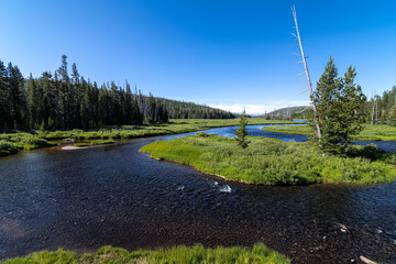Lewis River, Yellowstone National Park
