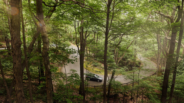 Driving down a mountain road