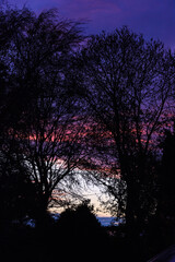 Fototapeta premium Vibrant Violet Sunset