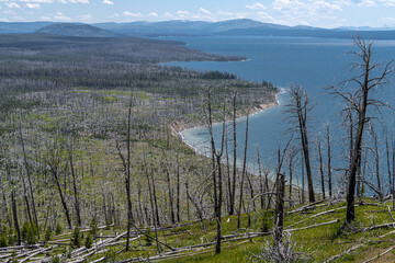 Lake Butte Overview and Wild Fire Damage, Yellowstone National Park