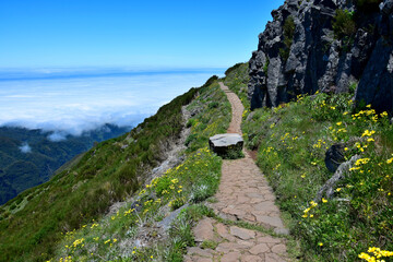 Madeiran landscape with a trail on the way to Pico Ruivo. Madeira, Portugal.