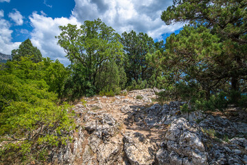 Beautiful natural landscape on Mount Koshka, a landmark in Crimea