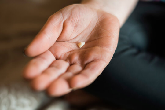 Closeup of a child's hand holding a baby tooth