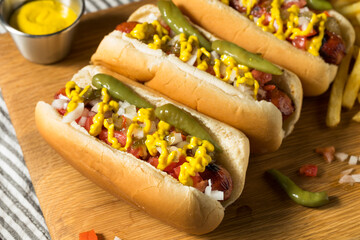 Homemade Chicago Style Hot Dog and Fries