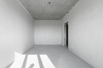 Obraz premium interior of the apartment without decoration in gray colors