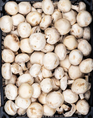 Plastic box full of fresh champignon mushrooms on a wooden background.