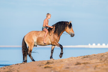 A boy ride a horse on the beach. Young child on heavy draft horse walking on blue background in...