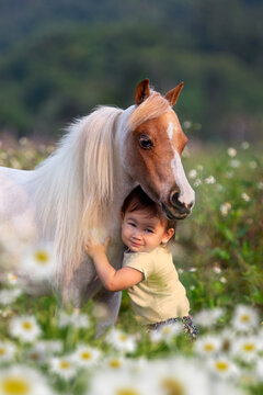 A child hugs a miniature horse outdoors. Little cute girl posing with a small horse in a field in spring.