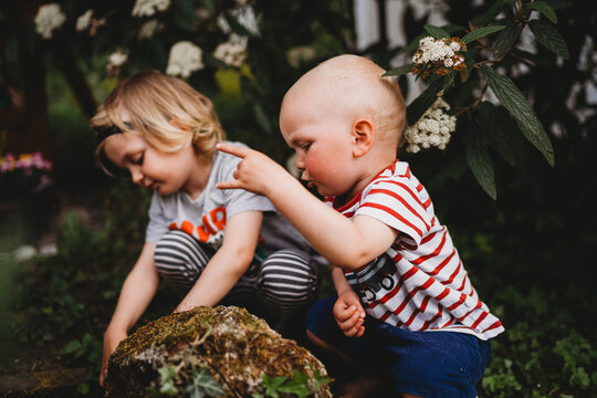 Brothers in the garden looking for insects