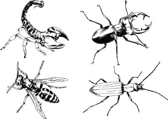 vector drawings sketches different insects bugs Scorpions spiders drawn in ink by hand , objects with no background