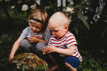 White male toddlers playing in nature discovering insects
