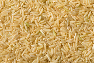 Raw Dry Organic Brown Rice