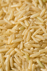 Raw Dry Organic Brown Rice