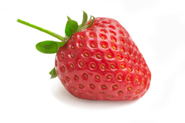 Isolated strawberry. Single strawberry fruit isolated on white background