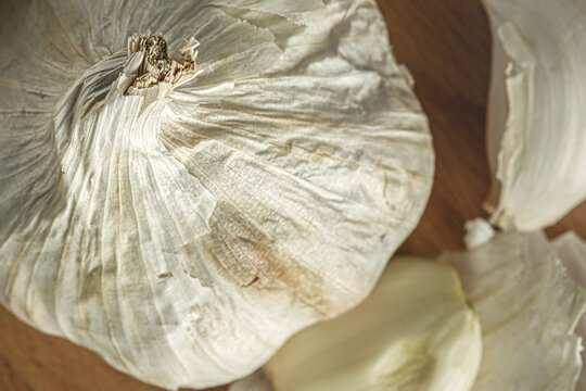 Garlic Close Up
