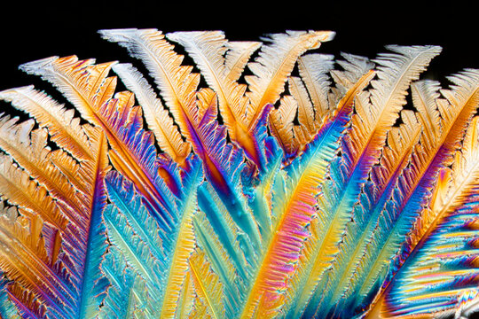 Crystalized citric acid under polarized light