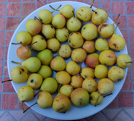 Close-up of a plate full of pears