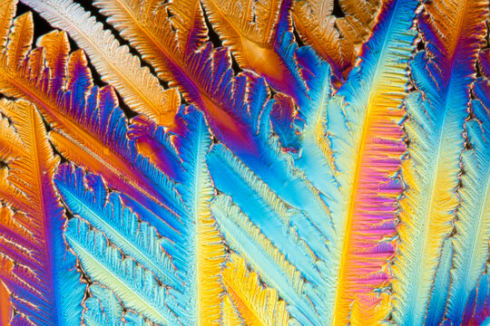 Crystalized citric acid under polarized light