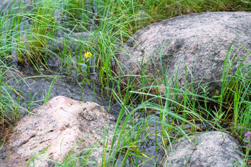 Big wet stones in waves on lake shore