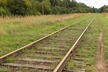 Old rusty railway with wooden sleepers in the forest overgrown with grass.