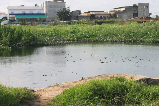Riverain 