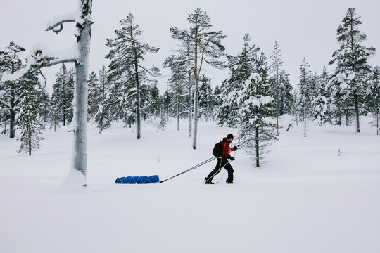 Backcountry Skier Pulling Sled Through Magic Landscape