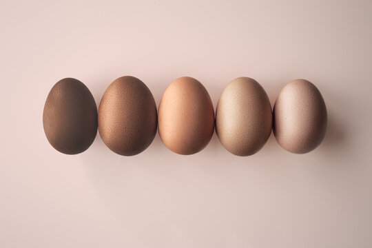 Row of Eggs in Sunlight