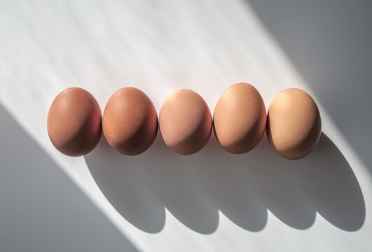 Various Tones of Eggs