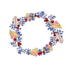 Watercolor illustration of beautiful autumn wreath with blue and red berries of magonia and hawthorn with leaves for modern design on white isolated background