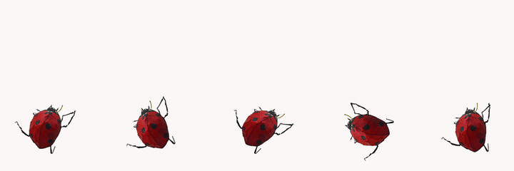 Stylized cockroaches on a white background. Insecticide concept