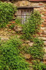 Fototapeta na wymiar Old stone house window and vines