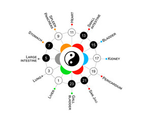 Traditional Chinese organs body clock. Main meridians  - 24 hours. Yin yang indicator : black for yin & white for yang. Colors symbolize elements : fire, water, metal, wood, earth
