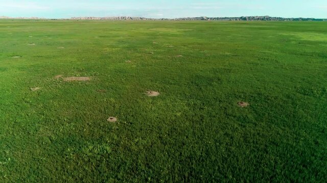 Aerial view of lush green grassland