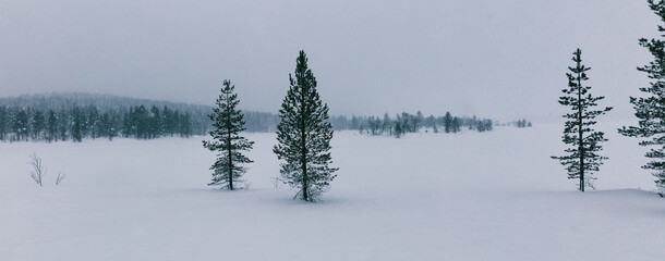 Frozen Lake Dark Snowfall Mood